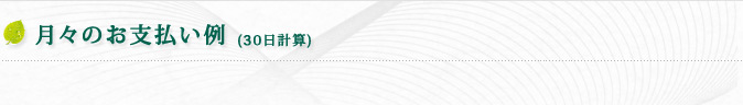 月々のお支払い例 (30日計算)